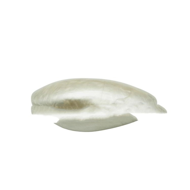 Evening Clutch — Shell Halo